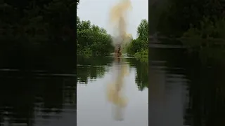 beaver dam removal