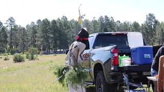 Clown (Tuułbaiyee') and Snowcones