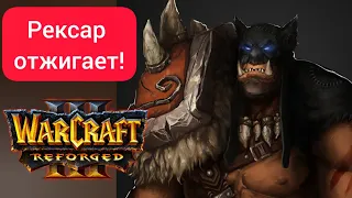 Рексар отжигает‼️ ToD (Hum) vs Simmons (Ne) Warcraft 3 Reforged
