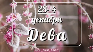 ДЕВА♍❤️28 ноября по 4 декабря. Таро прогноз для Дев/Tarot forecast from Virgo.