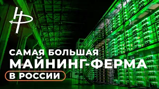 Экскурсия по самой большой майнинг-ферме в России