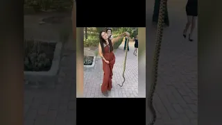 Brave Bridesmaid Removes Unwanted Snake From Wedding #amazing #cool #powerwoman #funny #love