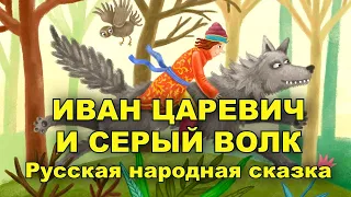 Иван Царевич и серый волк. Русская народная сказка