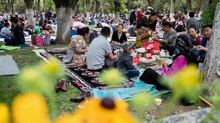 Live: Celebrate the Shoton Festival in Lhasa with the locals不能错过的拉萨雪顿节