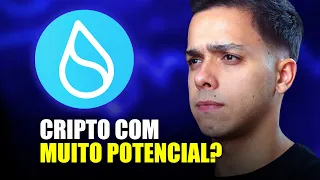 SUI | CRIPTO QUE PODE EXPLODIR EM 2024?