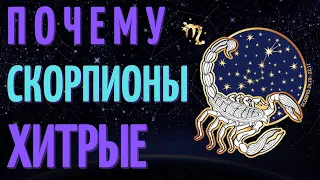 СКОРПИОН САМЫЙ ХИТРЫЙ ЗНАК ЗОДИАКА? ТОП 7 ПРИЧИН!