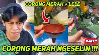 RESEP MASAK DEBM PALING SES4D ‼️