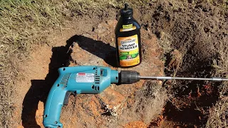 How to Remove a Tree Stump - Using Spectracide Granules