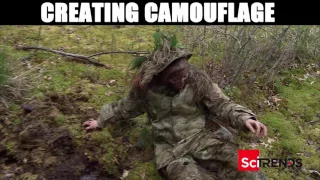 Creating Camouflage