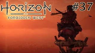 En büyük asi kampını yok ettim! | Horizon Forbidden West #37 | Very hard & Full gameplay