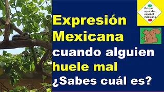Learn Spanish expresión mexicana que tienes que saber