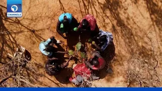 How Forest Loss Impacts Human Health | Earthfile