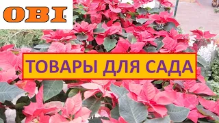 ОБЗОР ОБИ  ☃️🌲⛄товары для сада/Можжевельники/Классные семена петунии/Кашпо 40л,50л,60л/Удобрения