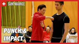 Punch and Impact - DK Yoo