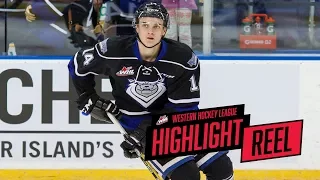 2017-18 HIGHLIGHT REEL | Eric Florchuk