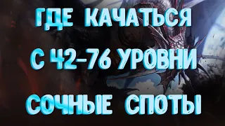 [Lineage 2 Essence] Где качаться 42-76 уровни l Арба быстрая прокачка и фарм l На какие споты встать