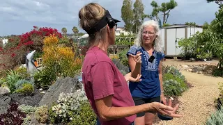 It’s Sunday Funday! Check Out This DIY Private Garden! It Will Blow Your Mind🤯