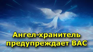 Ангел-хранитель вас пытается предупредить. (8 признаков)