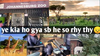 Sare animals so rhy thy😔|Johannesburg Zoo | Walking Tour | South Africa | Gauteng