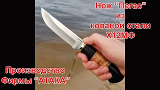 Нож "Пегас" из кованой стали Х12МФ. Небольшой обзор.