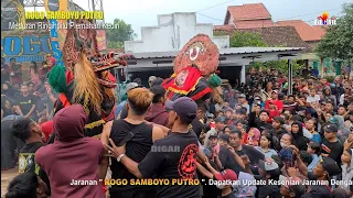 Rampokan Singo Barong Jaranan Rogo Samboyo Putro Live Meduran Ringinpitu Plemahan