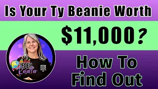Is Your Ty Beanie Worth $11,000? Full Time eBay Seller Shows How To Find Out