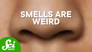 Why Do You Love That Smell? Books, Grass, And More | SciShow Compilation