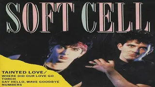 Soft Cell-Tainted Love-Where Did Our Love Go 1981 The long versions