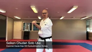 Seiken Chudan Soto Uke