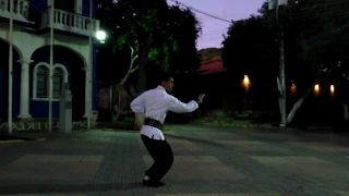 Forma de Tigre - Siulam Kung Fu (Shaolin del Sur)