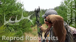 Reprod Roosevelts | Oregon Archery Elk Hunting