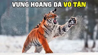 Động Vật Hoang Dã Nước Nga 3 [REPLAY] | Khám Phá Thế Giới Động Vật Hoang Dã