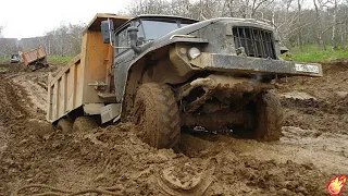 Legendarny URAL po bezdrożu Syberii! 😲 URAL PRZEJEDZIE WSZĘDIE - Niesamowite Rosyjskie cięzarówki