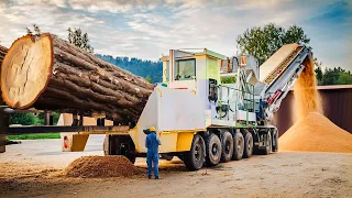 Extreme Dangerous Fastest Wood Chipper Machines Technology, Monster Tree Shredder Machines Working