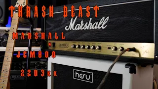 The Thrash Beast- Marshall JCM800 2203KK