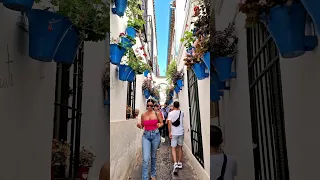 CÓRDOBA 🇪🇦 a Magical Place in Spain, Andalucía 💙🌺 #spain #travel #andalucia