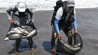 At Dawn Two Fishermen Discover a Pool Full of Croakers on the Beach