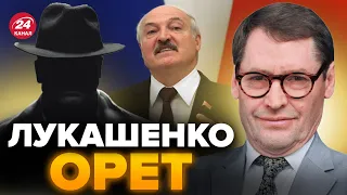 🤣ЖИРНОВ и ГЕНЕРАЛ СВР: Скорая уже едет! ЛУКАШЕНКО устроил ЦИРК при всех / Поржал над ПРИГОЖИНЫМ