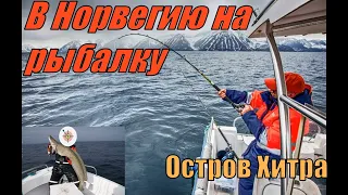 Лучший день за всю неделю Морской Рыбалки в Норвегии, Рыбалка и Отдых на острове Хитра.