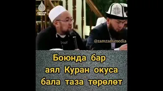 Боюнда бар аял. Шейх Чубак Ажы Жалилов. #чубакажыжалилов