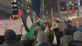 Pro-Palestine rally in New York during Rockefeller tree lighting