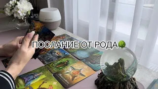 🌳ПОСЛАНИЕ ОТ РОДА🌳