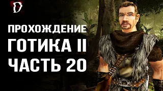 Прохождение: Gothic 2 Ночь Ворона | Стал Бандитом | Часть 20 | DAMIANoNE