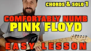 Pink Floyd  Comfortably Numb Chords and Solo Easy Lesson