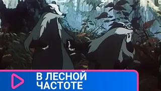 👨‍👨‍👧‍👧 МУЛЬТФИЛЬМ О МАЛЕНЬКОМ БАРСУЧКЕ! В лесной частоте. Советские мультфильмы.