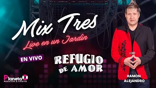 Refugio de Amor - Mix 3 Live En Un Jardín