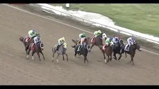 Tips for betting on a horse race