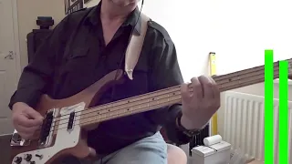 Lets spend the night together David Bowie bass cover