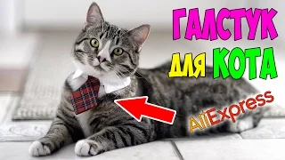 10 САМЫХ БЕСПОЛЕЗНЫХ ТОВАРОВ ИЗ ALIEXPRESS. СУМАСШЕДШИЕ КИТАЙЦЫ!