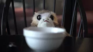 PORG - A Comedy Short